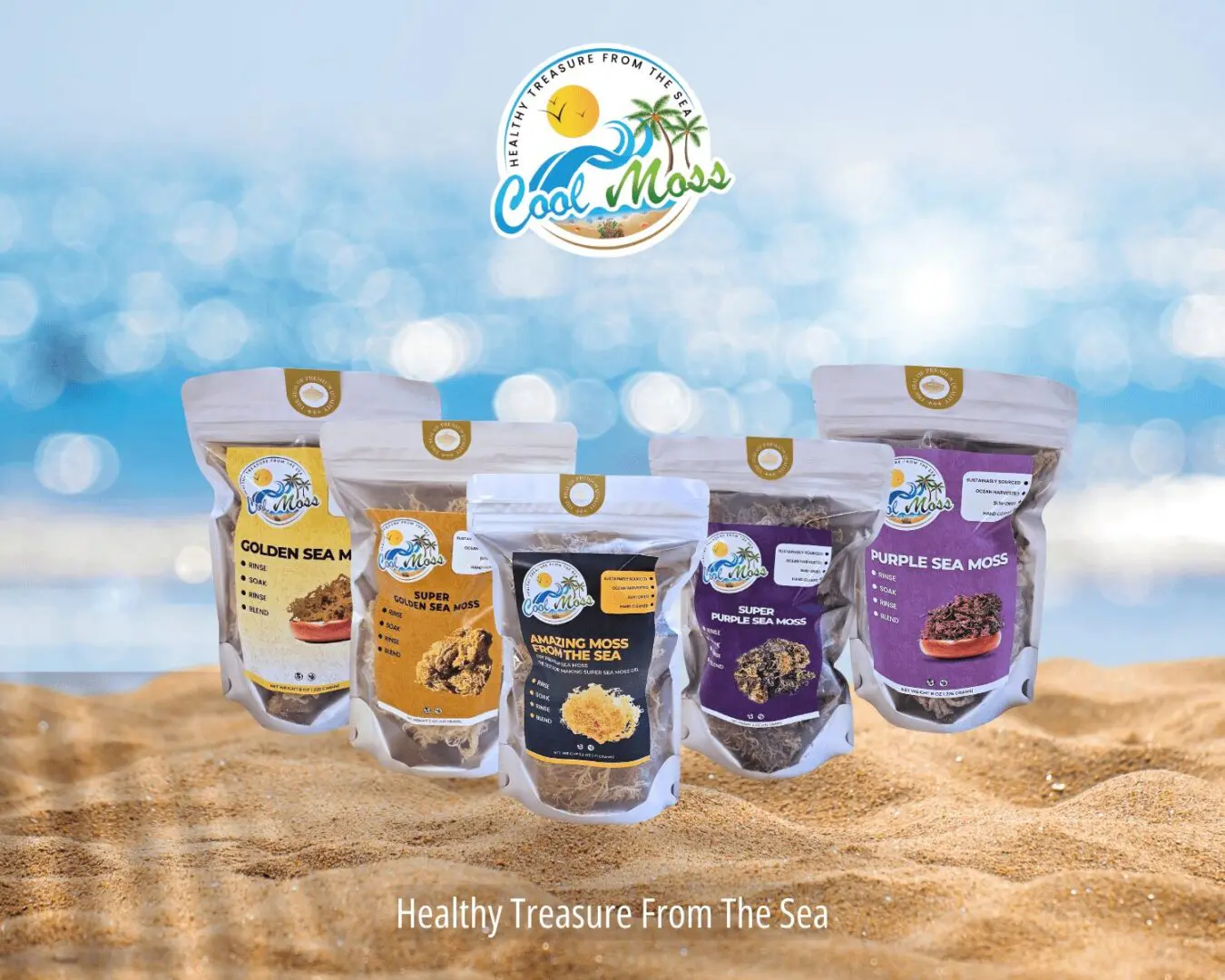 Transition Nutrition Inc