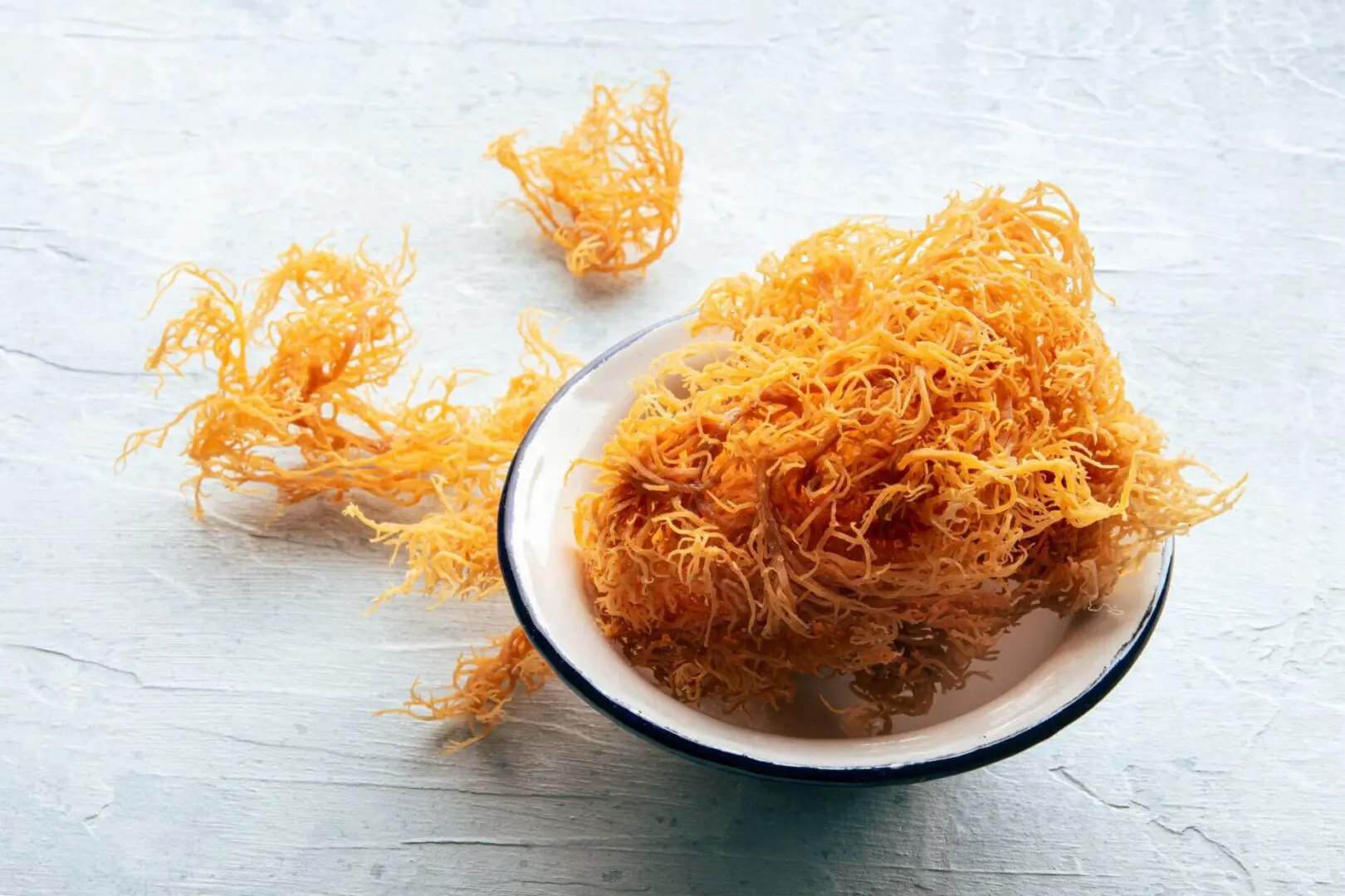 667dac8d89f3a_irish-sea-moss-chondrus-crispus-healthy-organic-raw-royalty-free-image-1712331788 Transition Nutrition Inc