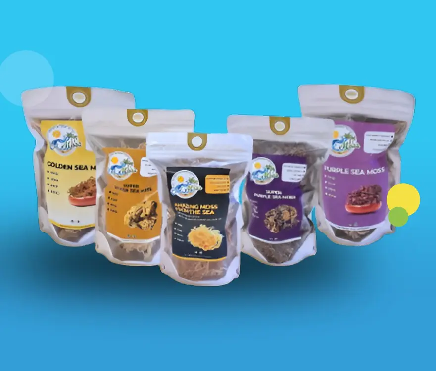 task25 (1) Transition Nutrition Inc